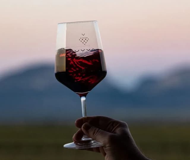 VINHO TINTO EM TAÇA